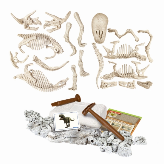 Imagine DESCOPERA DINOZAURUL T-REX & TRICERAPTOR FLUO STIINTA SI JOACA