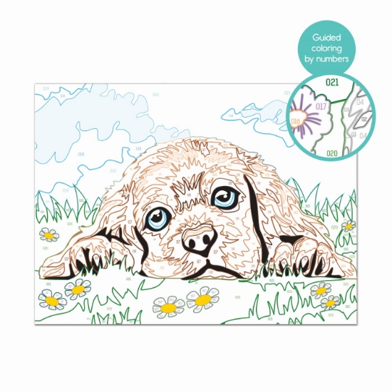 Imagine Pictează și înrămează Căţeluşul iubitor