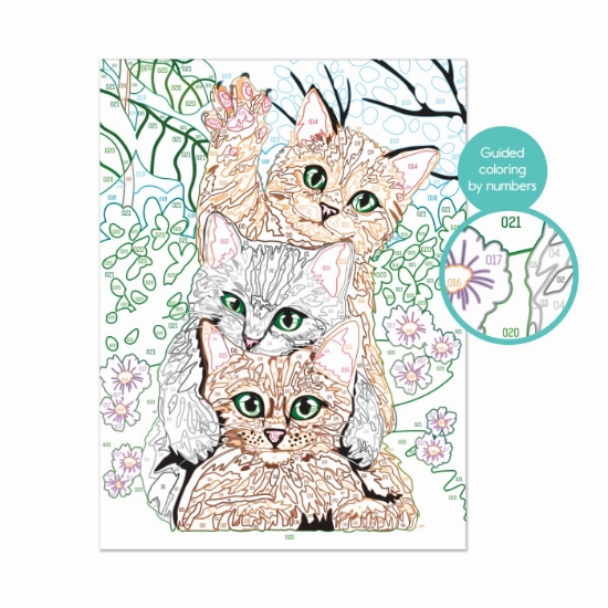 Imagine  Pictează și înrămează Pisici Amuzante