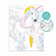Imagine PICTEAZA SI INRAMEAZA UNICORNUL MAGIC