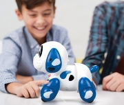 Imagine CATELUS ELECTRONIC ROBOT RUFFY