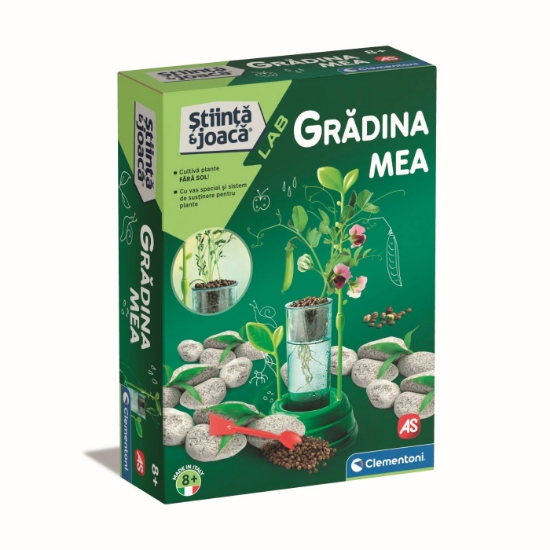 Imagine GRADINA MEA STIINTA JOACA