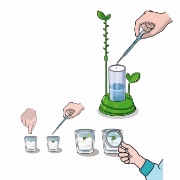 Imagine GRADINA MEA STIINTA JOACA