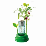 Imagine GRADINA MEA STIINTA JOACA