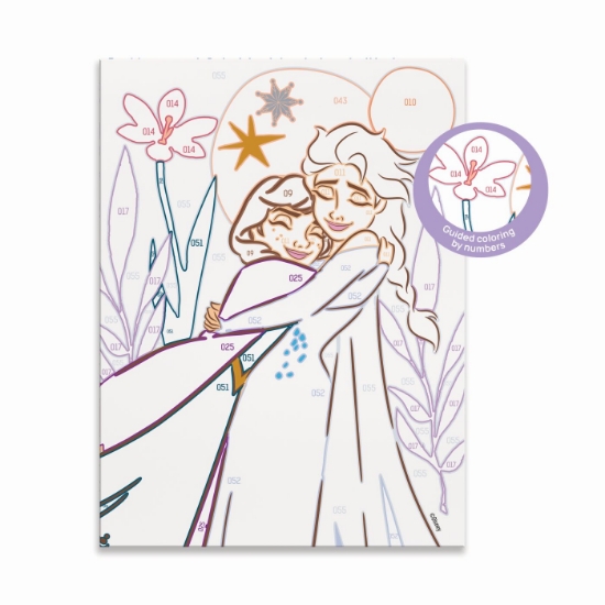 Imagine  Pictează și înrămează Disney Frozen