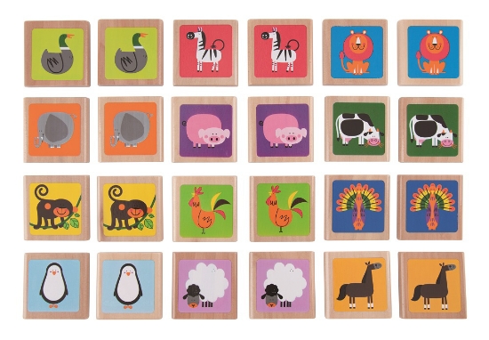 Imagine HAPE JOC DE MEMORIE ANIMALELE