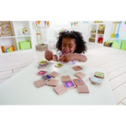 Imagine HAPE JOC DE MEMORIE ANIMALELE