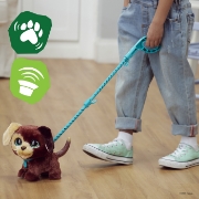 Imagine FURREAL CU CATELUL LA PLIMBARE