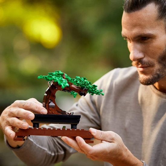 Imagine Lego Bonsai 10281