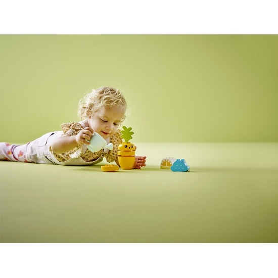 Imagine Lego Duplo Morcov care crește 10981