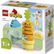Imagine LEGO DUPLO MORCOV CARE CRESTE 10981