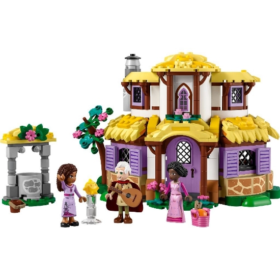 Imagine LEGO Disney Princess Wish Coliba Ashei 43231