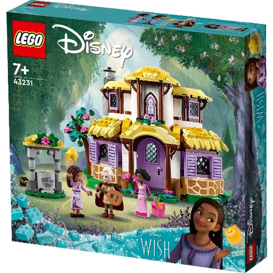 Imagine LEGO Disney Princess Wish Coliba Ashei 43231