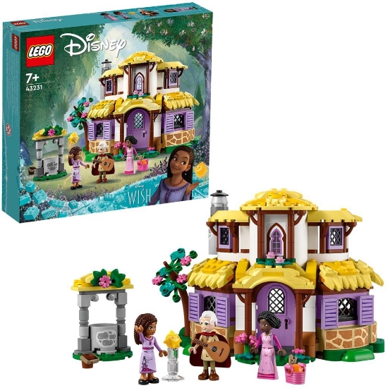 Imagine LEGO Disney Princess Wish Coliba Ashei 43231