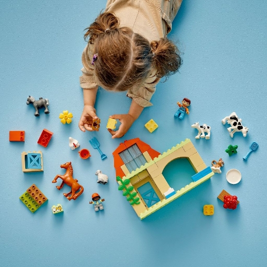 Imagine Lego Duplo Îngrijirea animalelor la fermă 10416