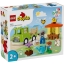 Imagine Lego Duplo Îngrijirea albinelor și stupilor 10419