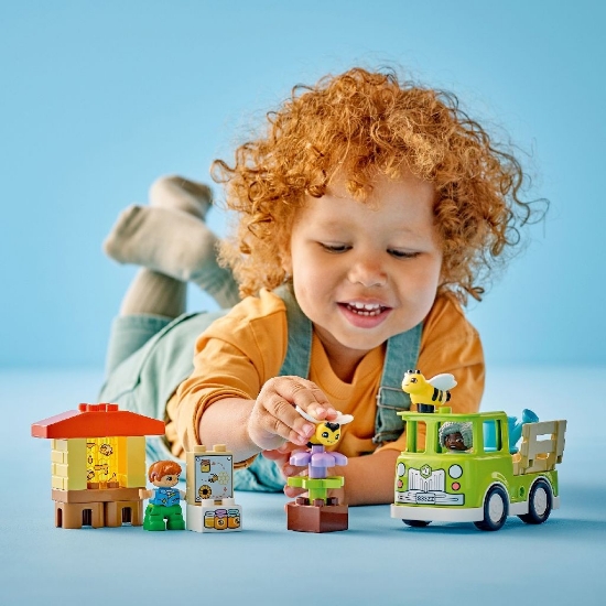 Imagine Lego Duplo Îngrijirea albinelor și stupilor 10419