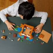 Imagine LEGO MINECRAFT CASA BROASCA 21256
