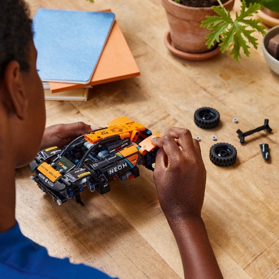 Imagine LEGO Technic NEOM McLaren Extreme E Race Car 42166