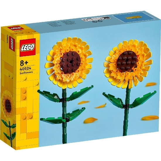 Imagine LEGO FLOWERS FLORILE SOARELUI 40524