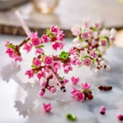 Imagine LEGO FLOWERS Flori de cireș 40725