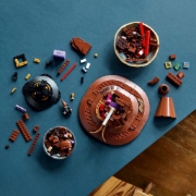 Imagine LEGO HARRY POTTER JOBENUL MAGIC VORBITOR 76429