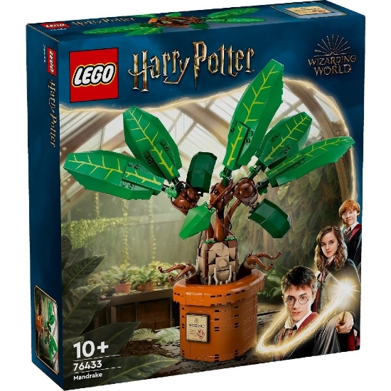 Imagine LEGO HARRY POTTER TM MATRAGUNA 76433