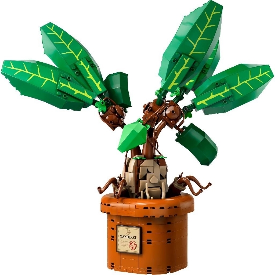 Imagine LEGO Harry Potter™ Matraguna 76433