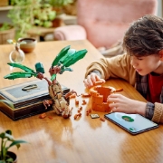 Imagine LEGO HARRY POTTER TM MATRAGUNA 76433