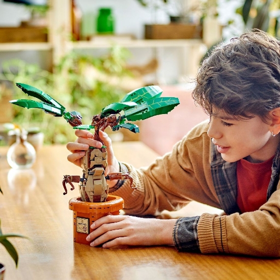 Imagine LEGO Harry Potter™ Matraguna 76433