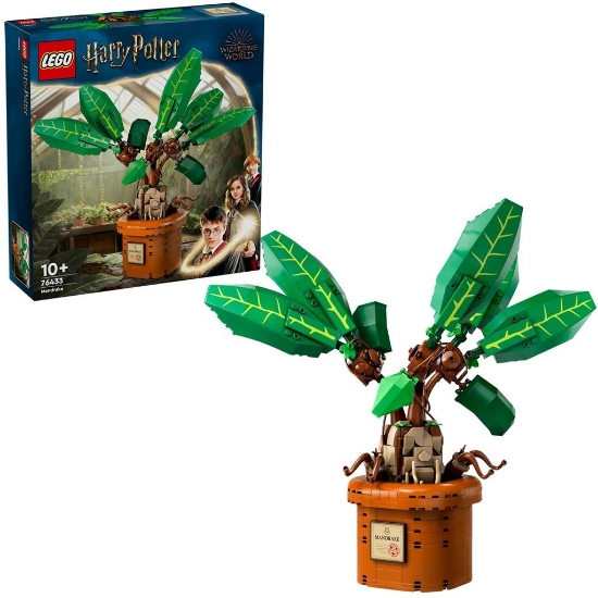 Imagine LEGO Harry Potter™ Matraguna 76433