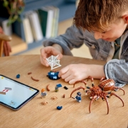 Imagine LEGO Harry Potter™ Aragog în Pădurea Interzisă 76434