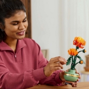 Imagine LEGO BOTANICAL COLLECTION CRIZANTEMA 10368 