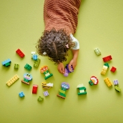 Imagine LEGO DUPLO GRADINA SI FLORI CREATIVE 10444