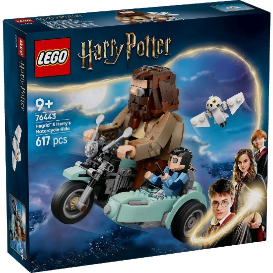 Imagine LEGO HARRY POTTER TM HAGRID SI HARRY PE MOTOCICLETA 76443