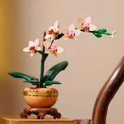 Imagine LEGO BOTANICALS MINI ORHIDEE 10343
