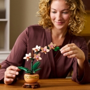 Imagine LEGO BOTANICALS MINI ORHIDEE 10343
