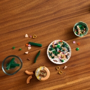 Imagine LEGO BOTANICALS MINI ORHIDEE 10343