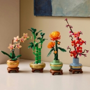 Imagine LEGO BOTANICALS MINI ORHIDEE 10343
