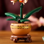 Imagine LEGO BOTANICALS MINI ORHIDEE 10343