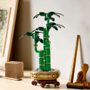 Imagine LEGO BOTANICALS BAMBUS NOROCOS 10344