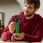 Imagine LEGO BOTANICALS BAMBUS NOROCOS 10344