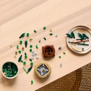 Imagine LEGO BOTANICALS BAMBUS NOROCOS 10344