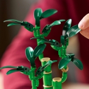 Imagine LEGO BOTANICALS BAMBUS NOROCOS 10344