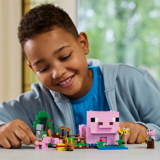 Imagine LEGO Minecraft Casa-Purcelus 21268