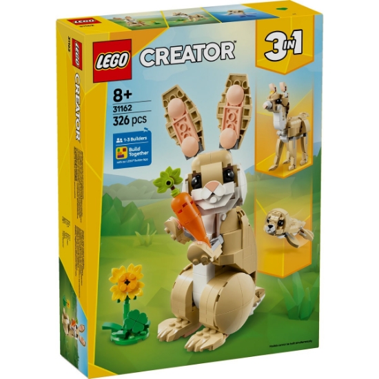 Imagine LEGO CREATOR IEPURAS DRAGALAS 31162