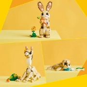 Imagine LEGO CREATOR IEPURAS DRAGALAS 31162