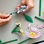 Imagine LEGO BOTANICALS MIC BUCHET DE FLORI PASTEL 10347
