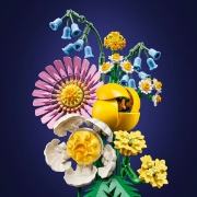 Imagine LEGO BOTANICALS MIC BUCHET DE FLORI PASTEL 10347