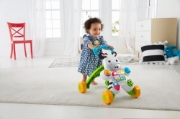 Imagine ANTEPREMERGATOR ZEBRA FISHER PRICE